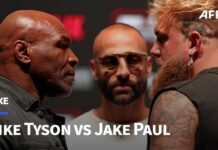 Mike Tyson affirme : Jake Paul revitalise la boxe face à l’UFC découvrez comment jake paul relance la boxe en affrontant des stars de l'ufc, avec l'analyse de mike tyson sur ce phénomène qui bouleverse les rings.