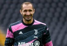 Juve : Chiellini et Comolli dénoncent un véritable scandale ! découvrez le scandale récent impliquant la juventus, révélé par chiellini et comolli, avec des détails exclusifs et réactions des protagonistes.