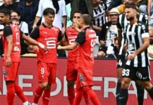 Mercato Rennes : quelles alternatives si la piste Haise ne se concrétise pas ? découvrez les alternatives proposées par le mercato de rennes au cas où l'entraîneur haise ne serait pas recruté.