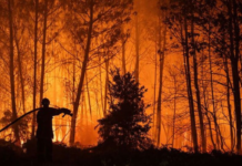 Festivals annulés – Les incendies ravagent la France Les incendies ravagent la France