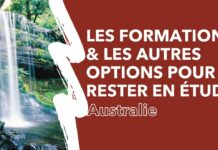 Australie : Popovic revient sur son pari audacieux qui n’a pas porté ses fruits découvrez le retour de popovic sur son pari raté en australie, une analyse honnête de ses choix et des leçons à en tirer.