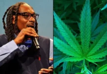 Weed ou CBD dans les clips de rap : la même logique que les faux billets